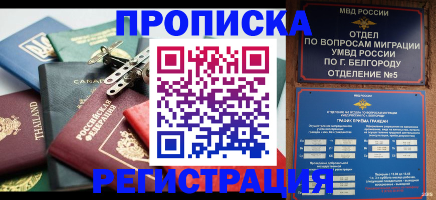 временная регистрация недорого в Новом Осколе